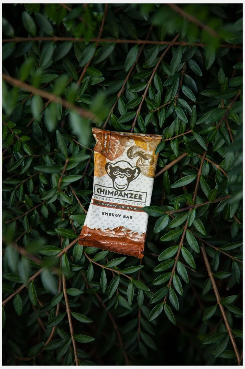Chimpanzee Energy Bar Cashew Caramel
