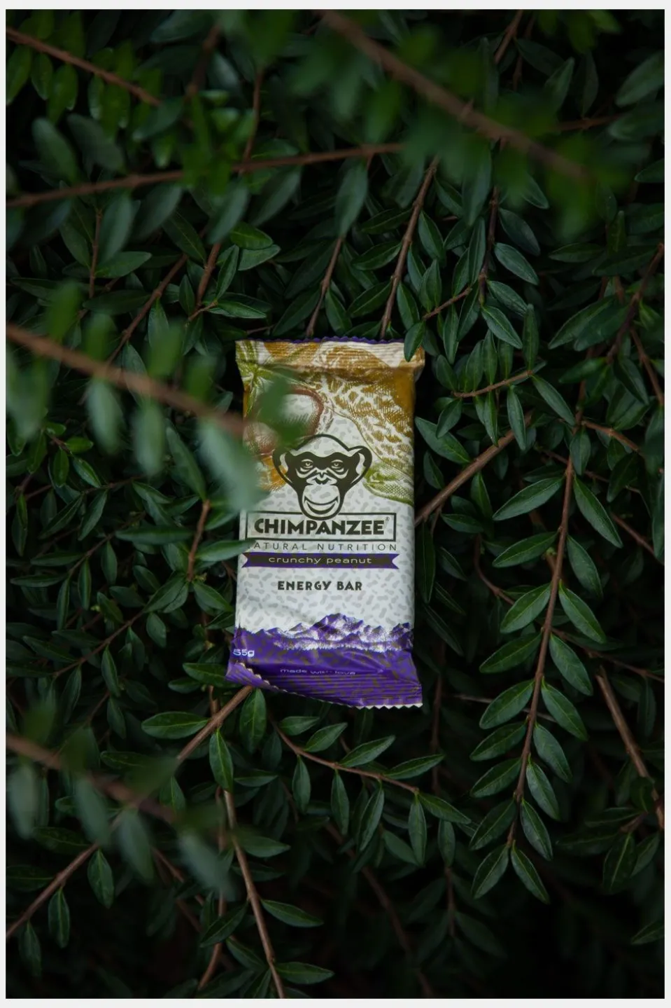 Chimpanzee Energy Bar Crunchy Peanut