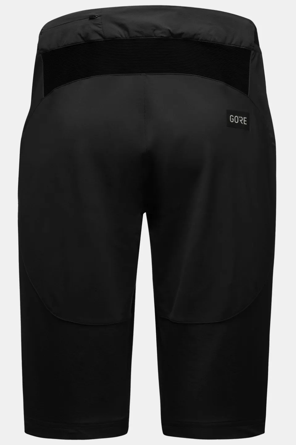 Gore Wear Fernflow Shorts Mens