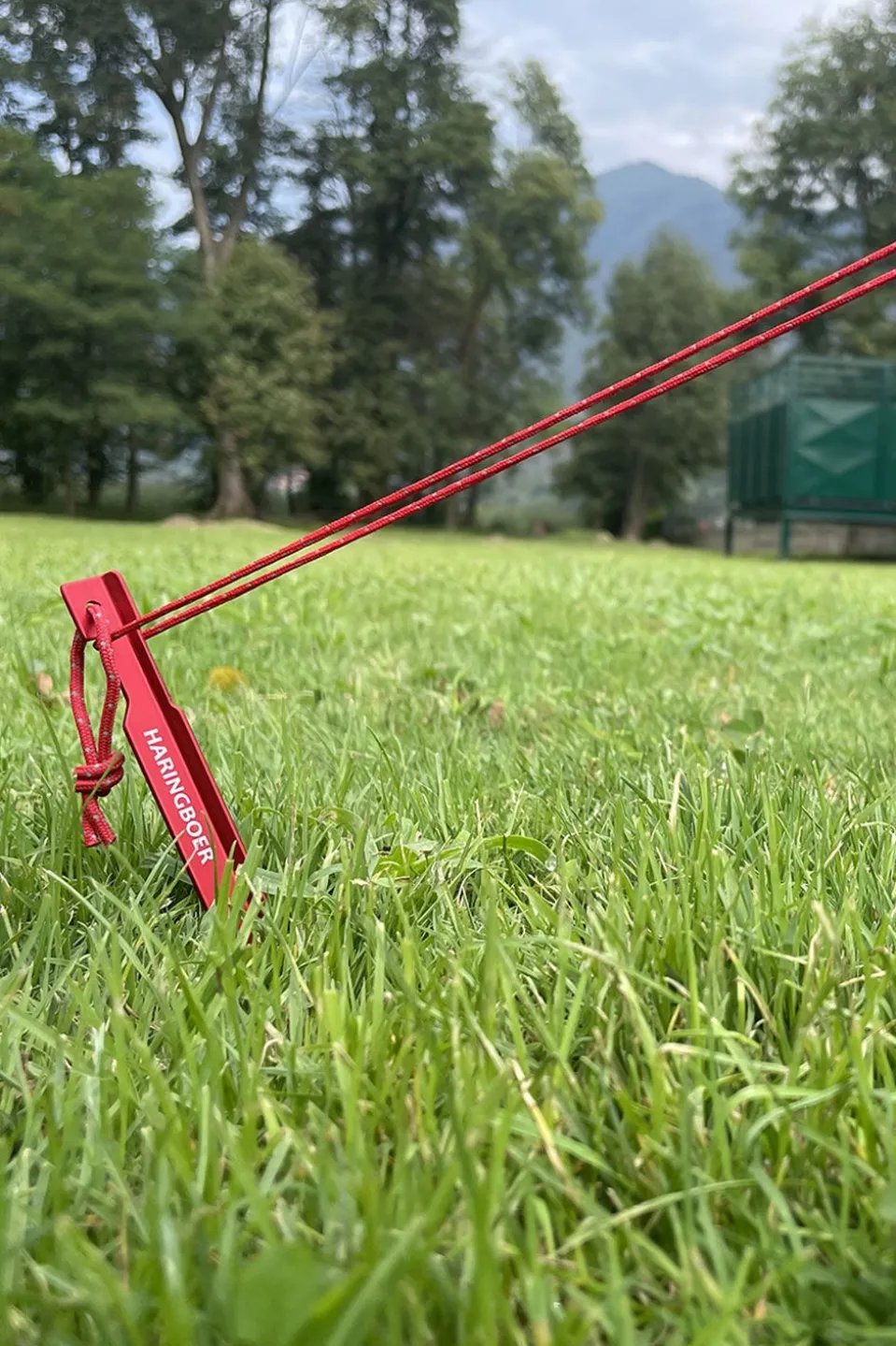 HARINGBOER Aluminium 23 Cm Klei- En Grasharing