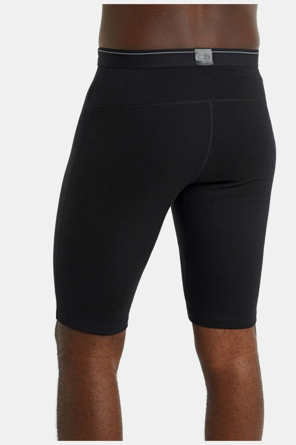 icebreaker 200 Oasis Shorts