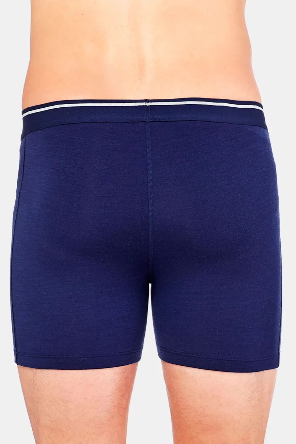 icebreaker M Anatomica Boxers