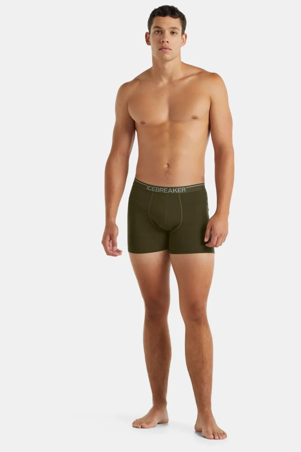 icebreaker M Anatomica Boxers