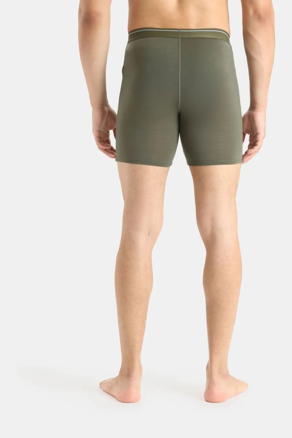 icebreaker Men Anatomica Long Boxers