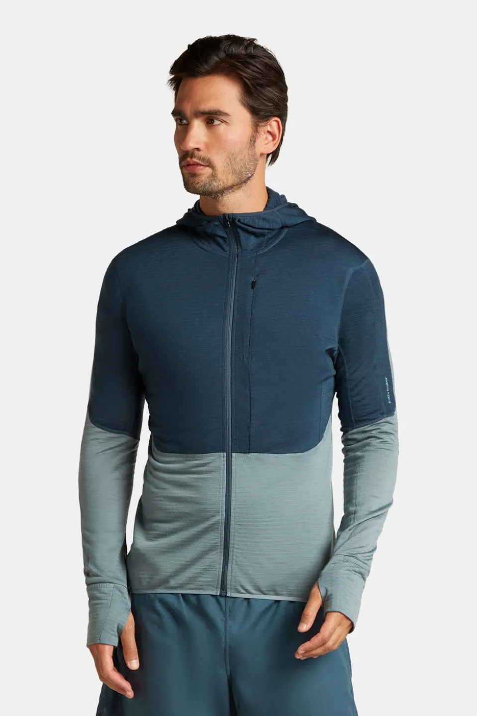 icebreaker Merino 200 Realfleece Descender Zip Trui