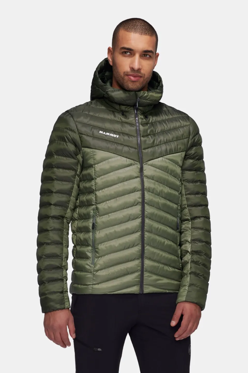 Mammut Albula In Hooded Isolatiejas