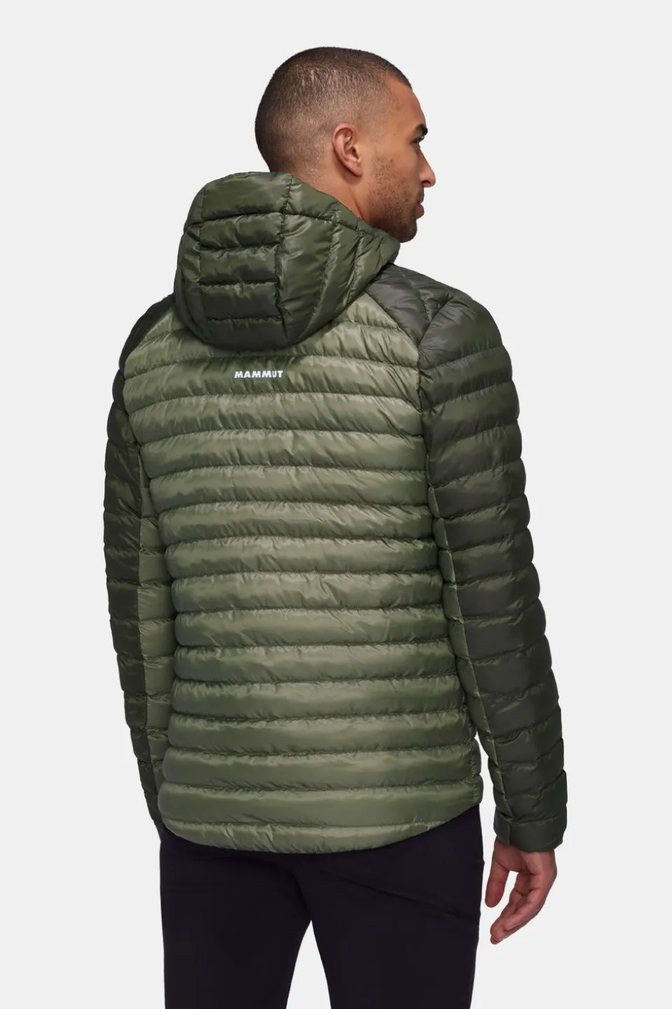 Mammut Albula In Hooded Isolatiejas