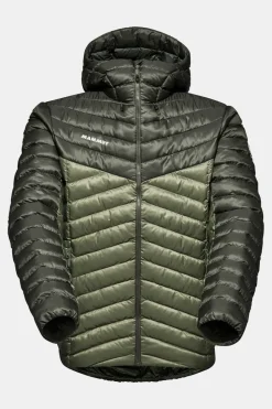 Mammut Albula In Hooded Isolatiejas