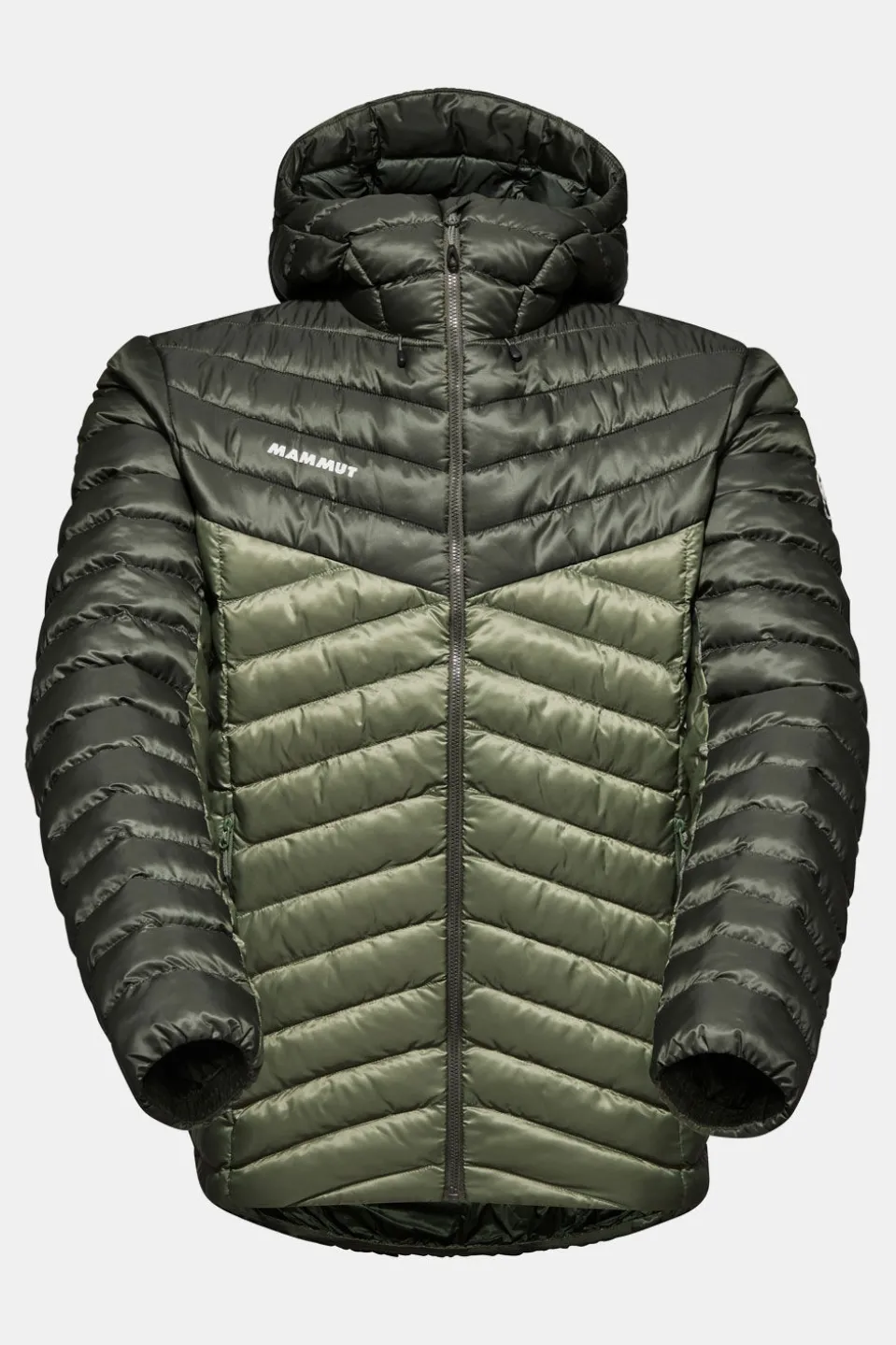 Mammut Albula In Hooded Isolatiejas