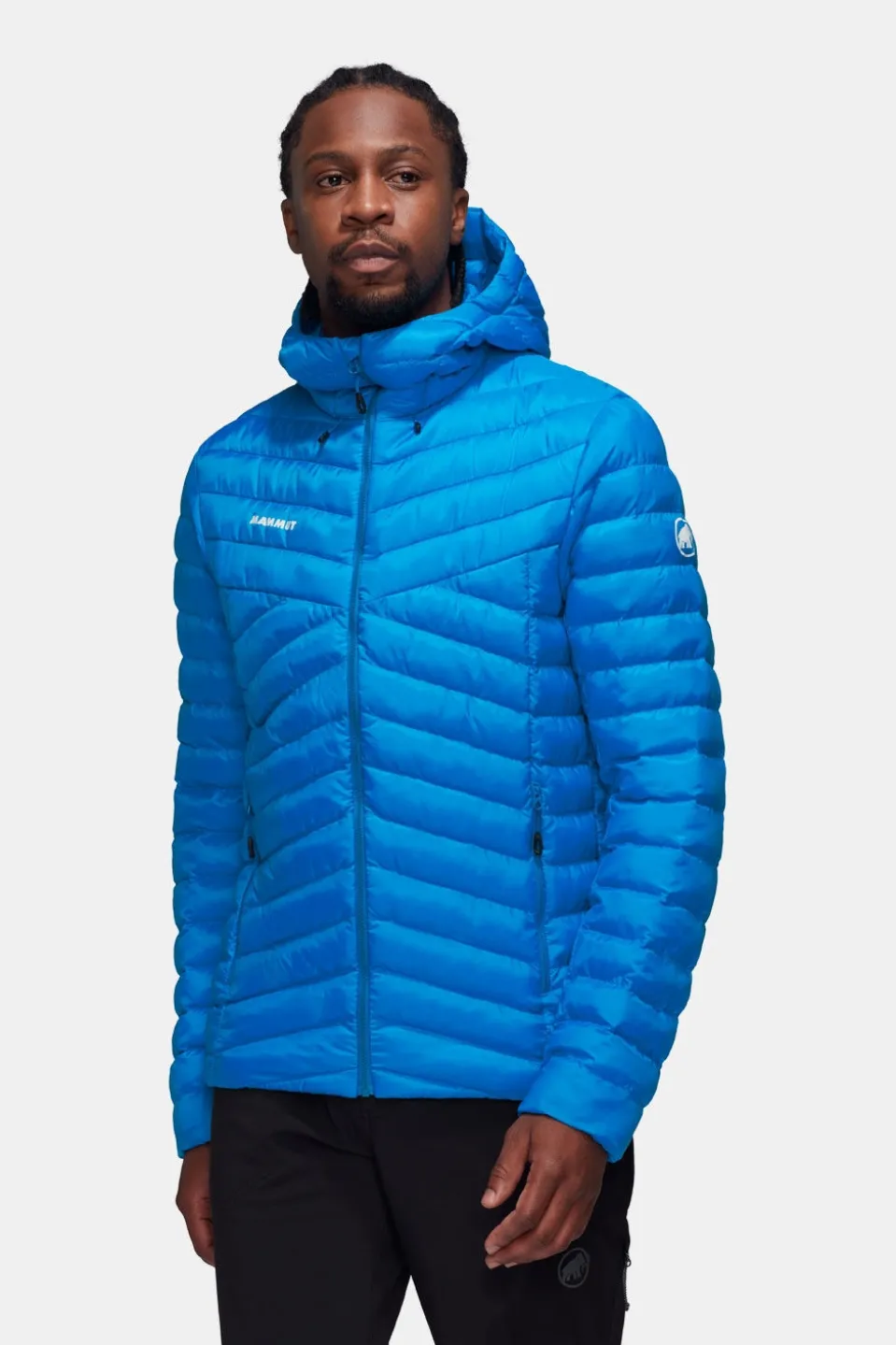 Mammut Albula In Hooded Isolatiejas