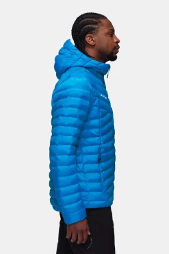 Mammut Albula In Hooded Isolatiejas