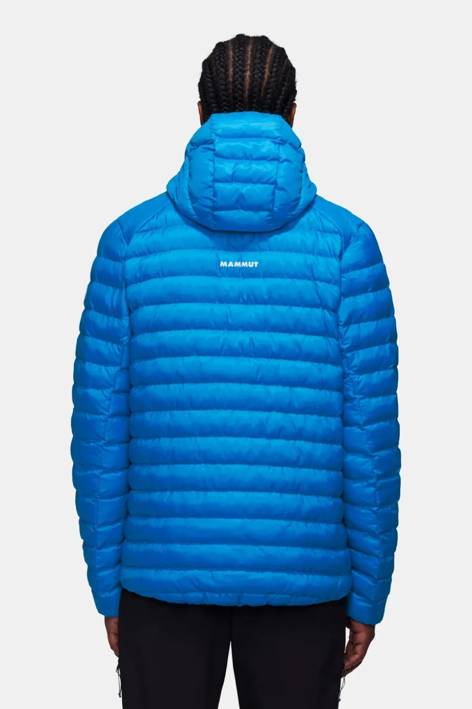 Mammut Albula In Hooded Isolatiejas
