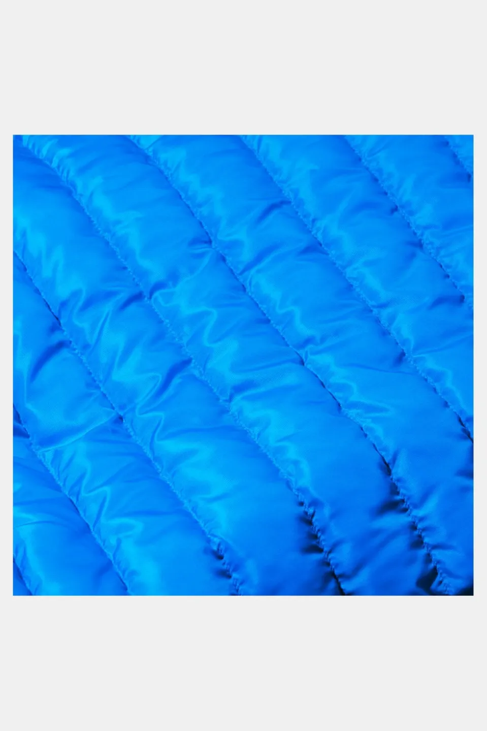 Mammut Albula In Hooded Isolatiejas