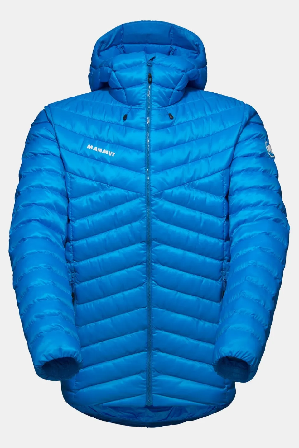Mammut Albula In Hooded Isolatiejas