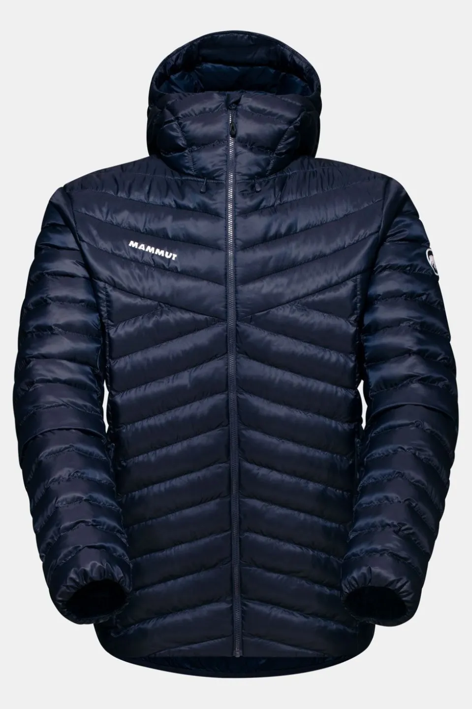 Mammut Albula In Hooded Isolatiejas