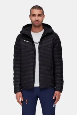 Mammut Albula In Hooded Isolatiejas