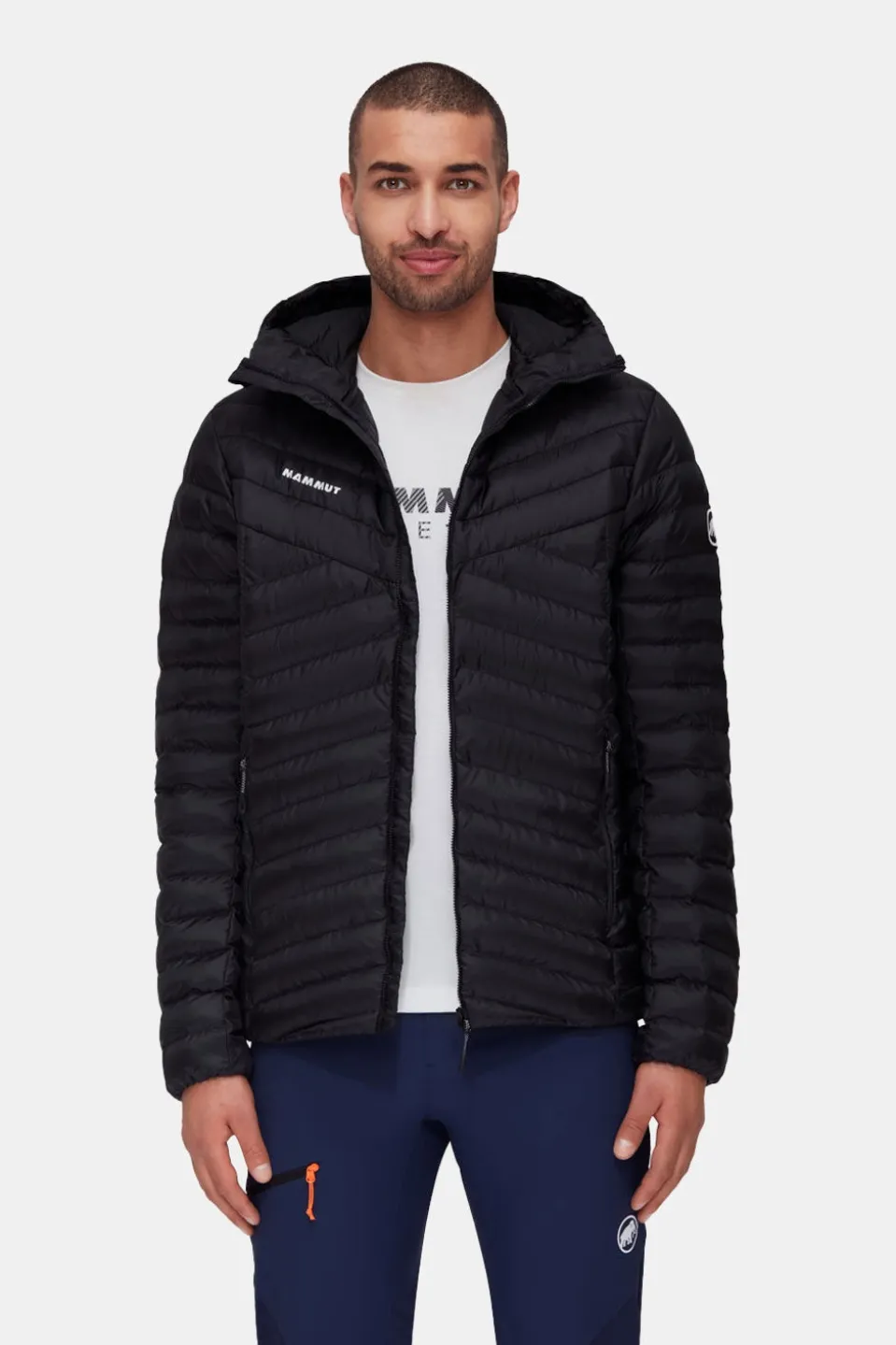 Mammut Albula In Hooded Isolatiejas