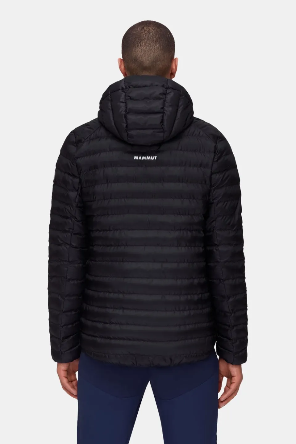 Mammut Albula In Hooded Isolatiejas