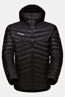 Mammut Albula In Hooded Isolatiejas