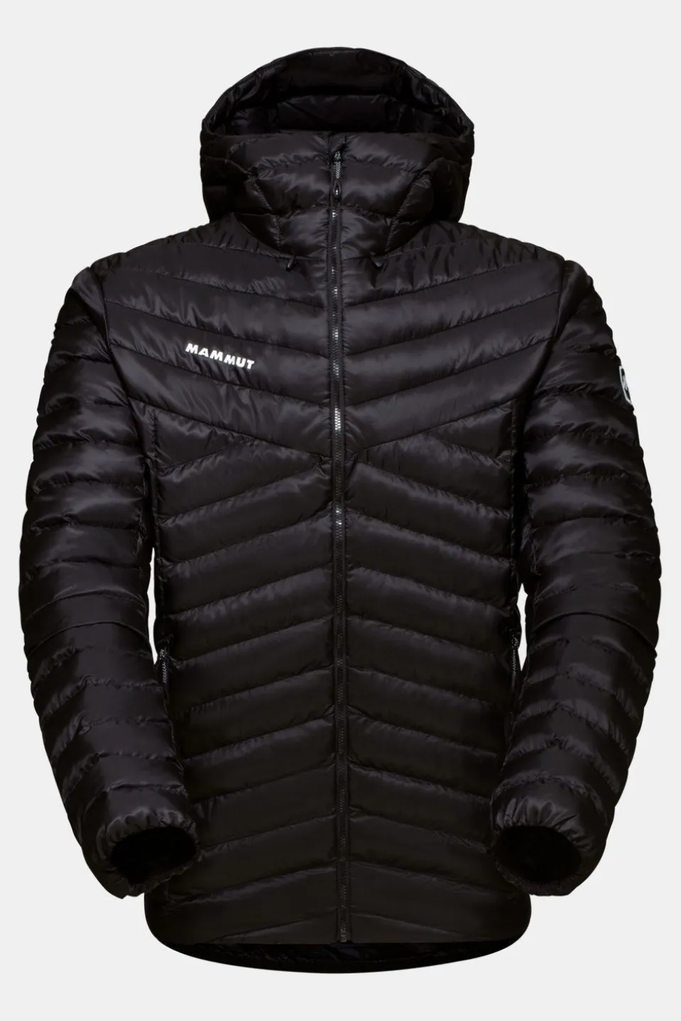 Mammut Albula In Hooded Isolatiejas