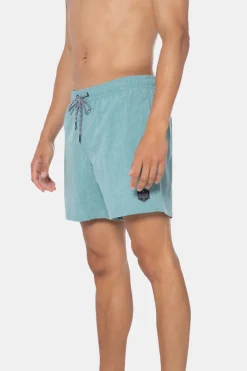 Protest Davey Beachshort Zwembroek