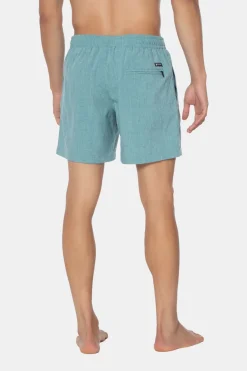 Protest Davey Beachshort Zwembroek