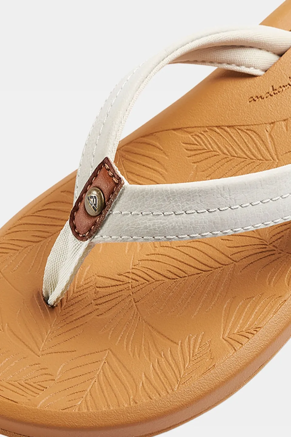 Reef Tides Slipper Dames