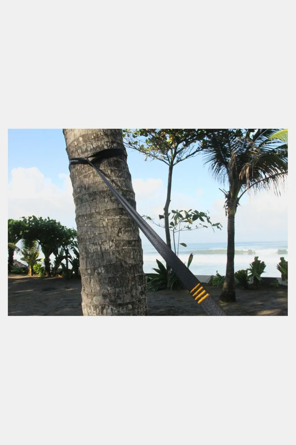 Ticket To The Moon Moonstrap Tree Friendly